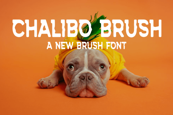 Chalibo Brush: A Playful Typeface for Modern Branding