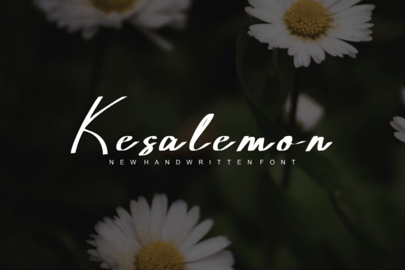 Kesalemon Font: A Playful Bold Typeface for Digital Creatives